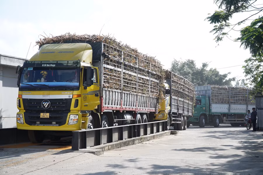 Xe vận chuyển mía sẽ được Nhà máy Đường An Khê cấp lô gô có đóng dấu, dán cố đinh ở kinh trước và phải chở đúng trọng tải theo quy định. Ảnh: Ngọc Minh