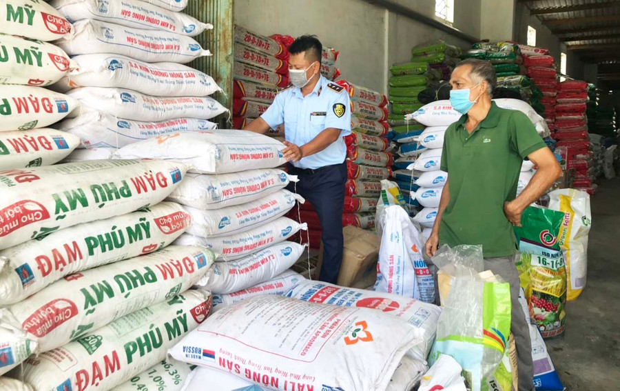 Lực lượng Quản lý thị trường kiểm tra một cửa hàng kinh doanh phân bón. Ảnh: Vũ Thảo