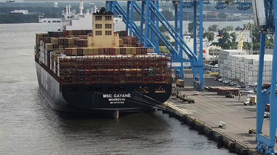  Ít nhất 8 thành viên thủy thủ đoàn trên tàu Gayane đã nhận tội