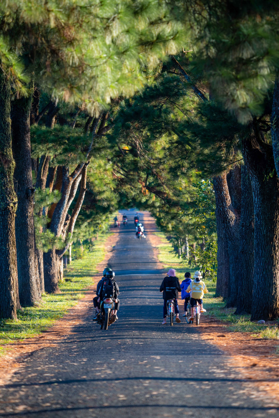 Bắt đầu từ đường Phó Đức Chính, con đường Biển Hồ chè là ranh giới giữa TP.Pleiku và địa bàn xã Nghĩa Hưng, huyện Chư Păh của tỉnh Gia Lai. Ảnh: Bùi Văn Hải