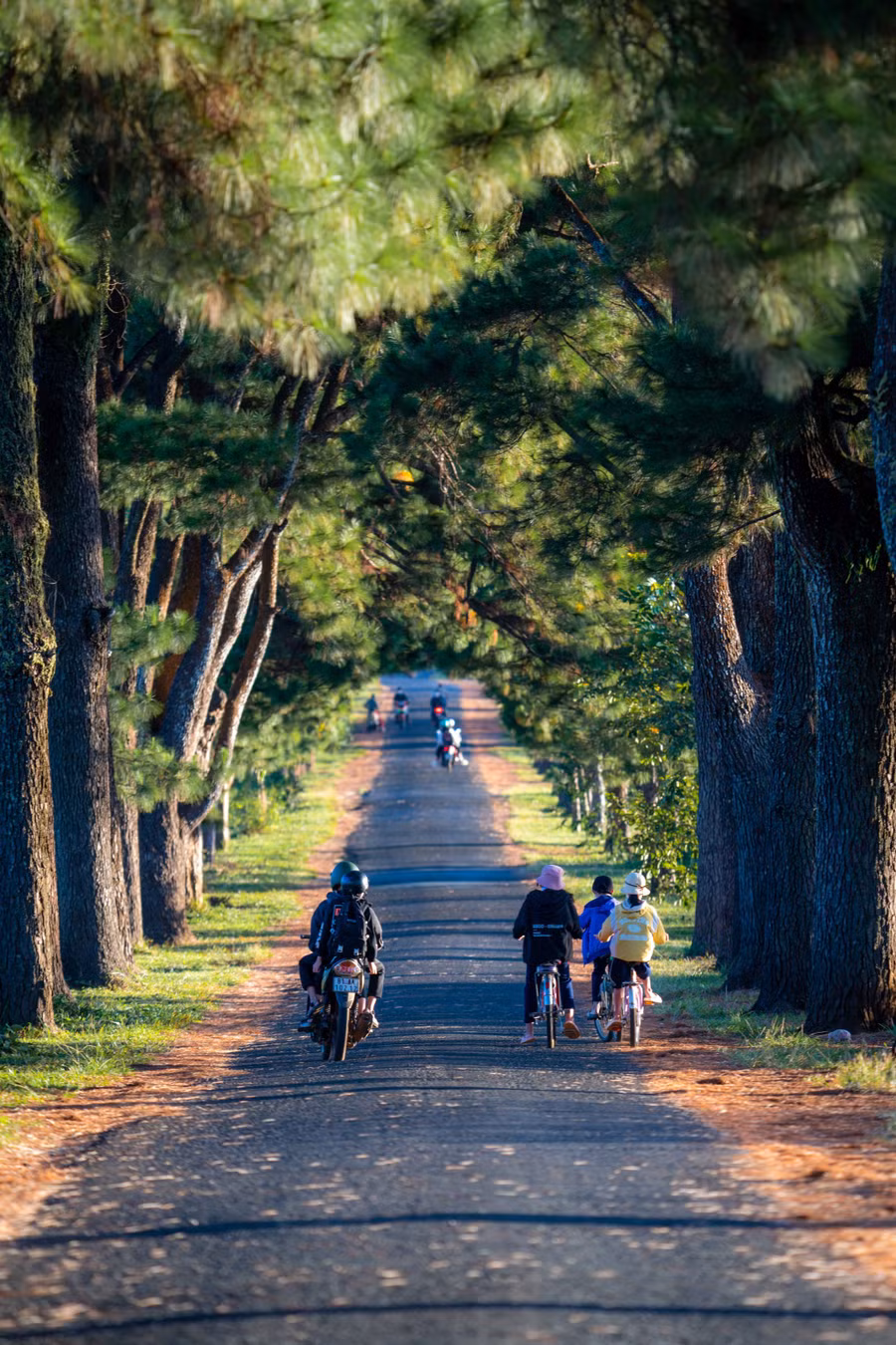Bắt đầu từ đường Phó Đức Chính, con đường Biển Hồ chè là ranh giới giữa TP.Pleiku và địa bàn xã Nghĩa Hưng, huyện Chư Păh của tỉnh Gia Lai. Ảnh: Bùi Văn Hải