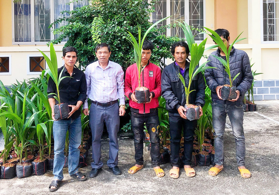 Các hộ nghèo được nhận cây giống dừa xiêm. Ảnh: Lan Anh  Trao dừa cho hộ nghèo. Ảnh: Lan Anh