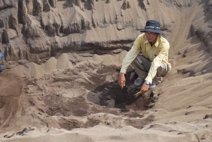 Tiến sĩ Đoàn Ngọc Khôi trong một lần khai quật di chỉ văn hóa Sa Huỳnh. Ảnh: Trang Thy 