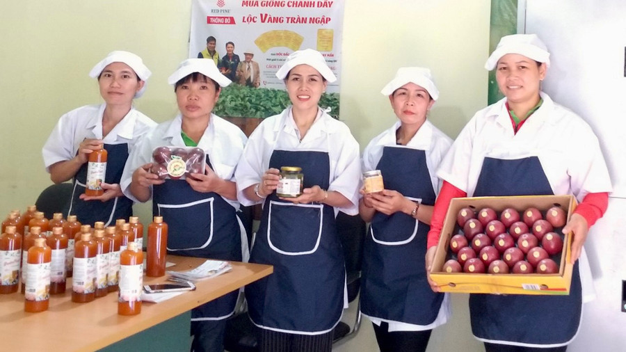 Sản phẩm chanh dây được công nhận OCOP cấp tỉnh. Ảnh: Nguyễn Diệp