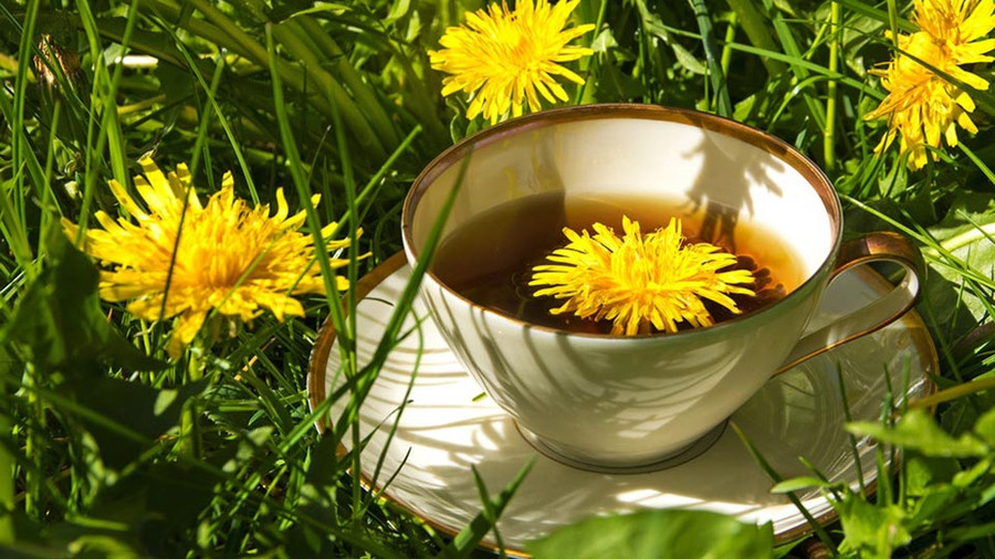 Nổi tiếng về sức mạnh hỗ trợ tiêu hóa, loại trà có hương vị ngọt ngào tinh tế này có thể làm giảm nguy cơ ung thư, đặc biệt là ung thư tuyến tụy. Ảnh: Shutterstock