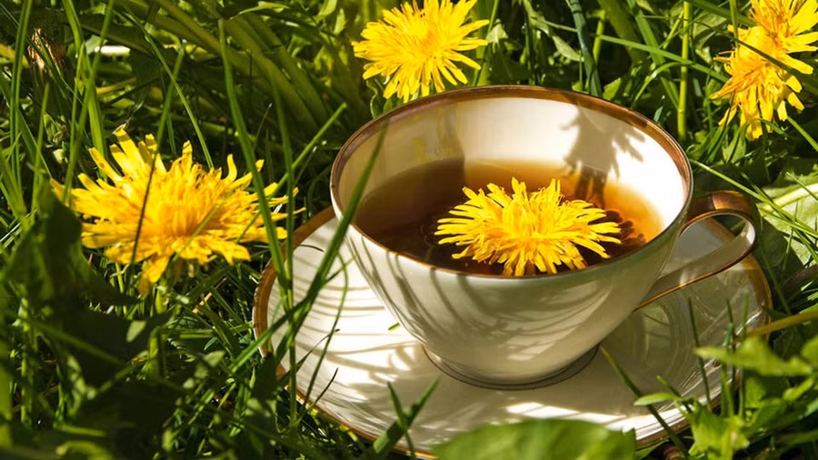 Nổi tiếng về sức mạnh hỗ trợ tiêu hóa, loại trà có hương vị ngọt ngào tinh tế này có thể làm giảm nguy cơ ung thư, đặc biệt là ung thư tuyến tụy. Ảnh: Shutterstock