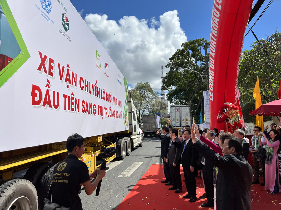  Lô bưởi đầu tiên của Việt Nam lên đường sang Hoa Kỳ. Ảnh: Trinh Thinh