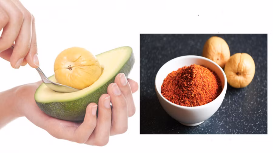  Hạt bơ có thể ăn được và có nhiều công dụng đối với sức khỏe. Ảnh đồ họa: Hàn Lâm