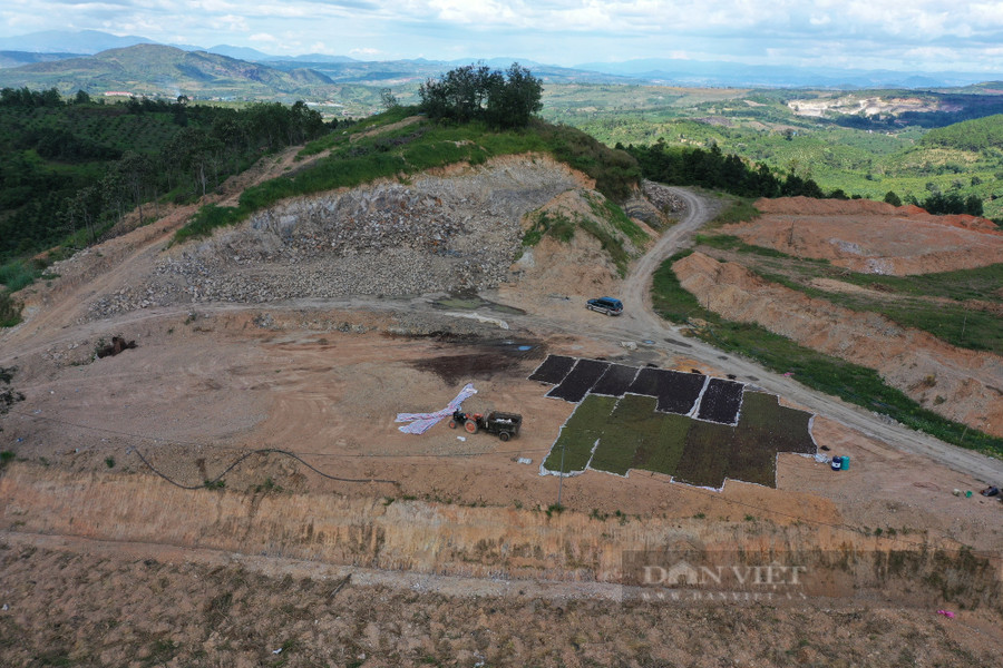 Sau khi san gạt, ông Nhân dùng để làm sân phơi cà phê. Ảnh: Văn Long