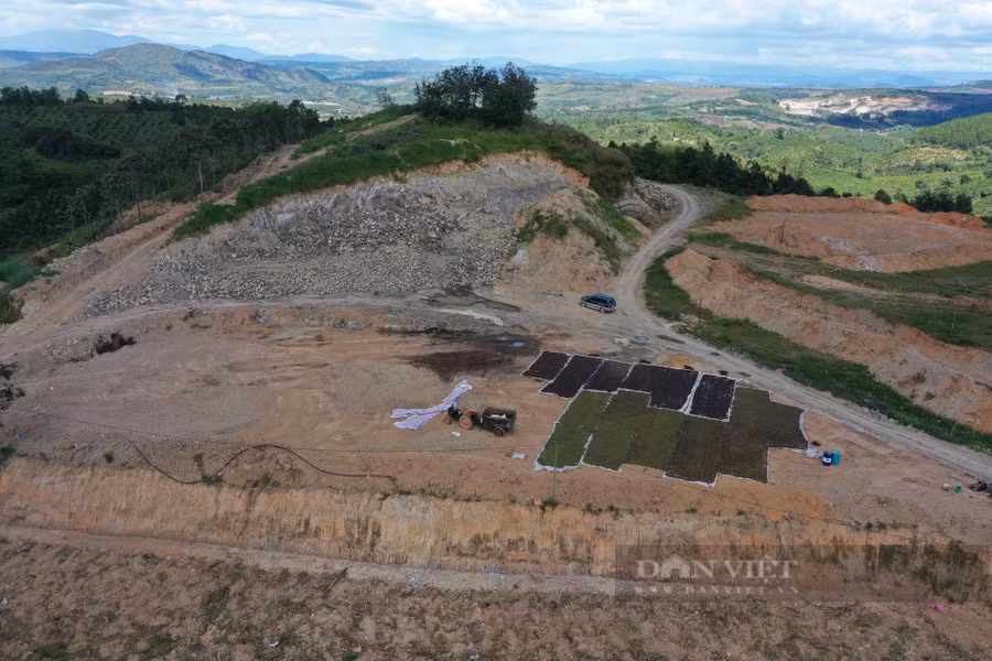 Sau khi san gạt, ông Nhân dùng để làm sân phơi cà phê. Ảnh: Văn Long