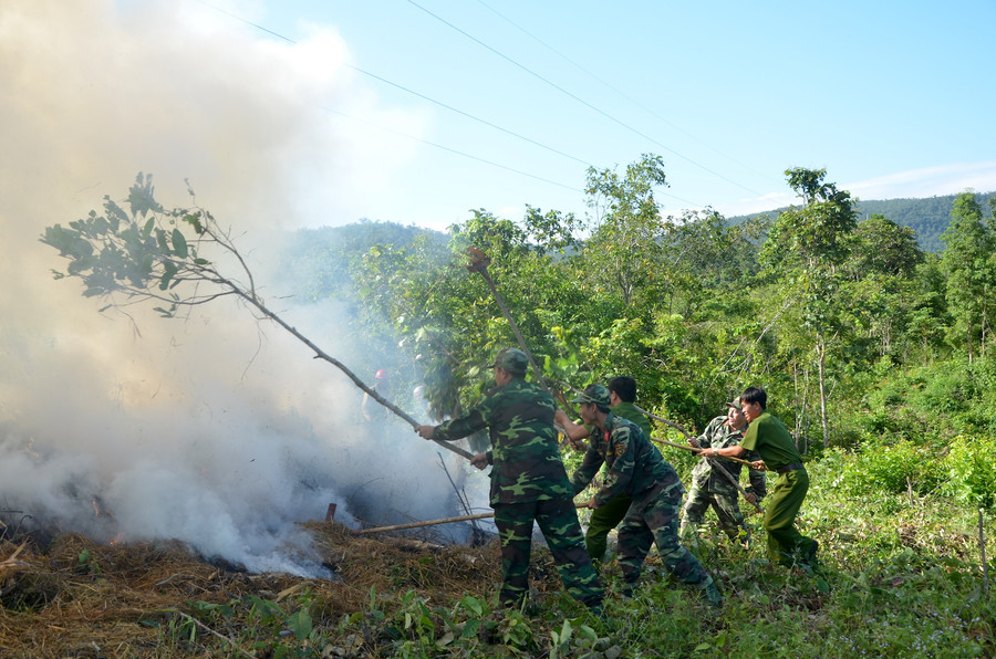 Các lực lượng chức năng thị xã Ayun Pa diễn tập hiệp đồng chữa cháy rừng. Ảnh: Trần Đức