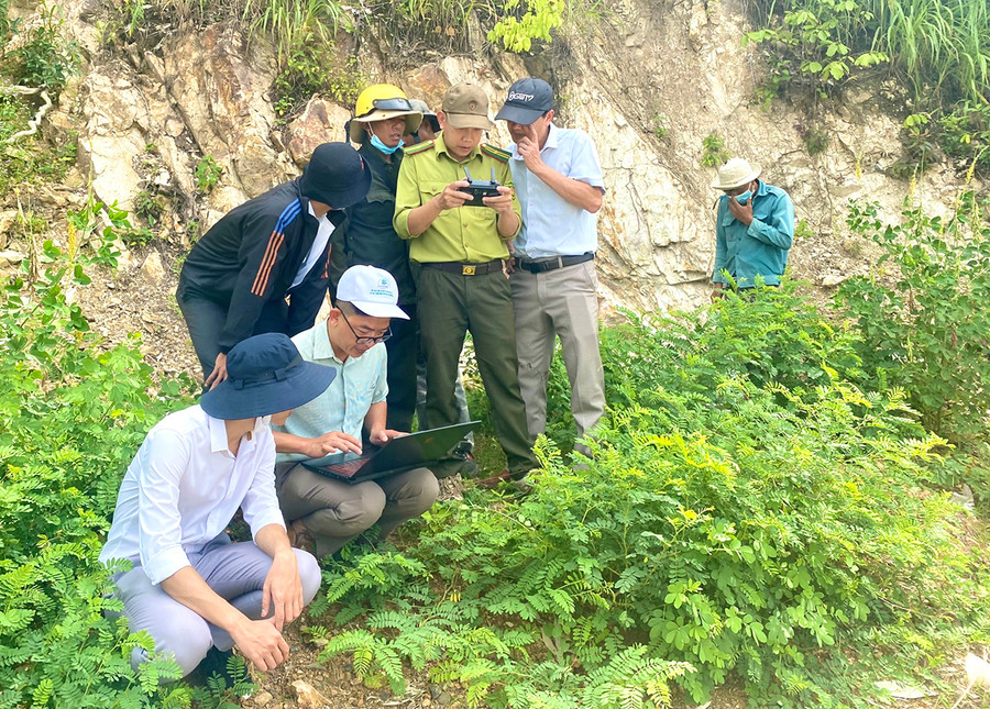 Cán bộ Quỹ Bảo vệ và Phát triển rừng tỉnh kiểm tra thực địa để thống nhất số liệu xây dựng bản đồ cung ứng DVMTR với các chủ rừng. Ảnh: Nguyễn Bình  Cán bộ Quỹ Bảo vệ và Phát triển rừng tỉnh kiểm tra thực địa để thống nhất số liệu xây dựng bản đồ cung ứng DVMTR với các chủ rừng. Ảnh: Nguyễn Bình