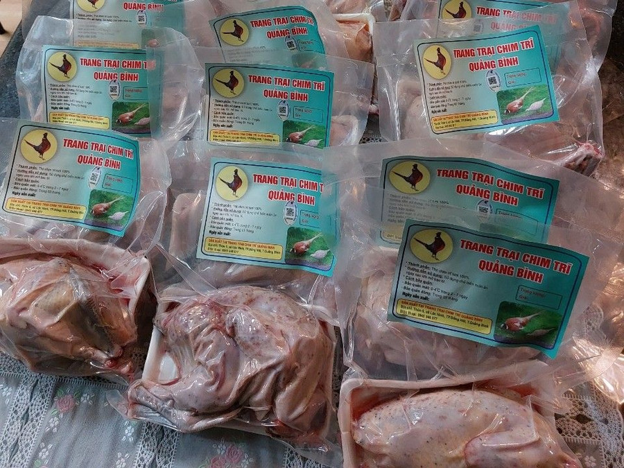 Trung bình mỗi năm loài chim lạ giúp anh Tuân kiếm thu nhập từ 200-300 triệu đồng. Ảnh: Bá Hoàng