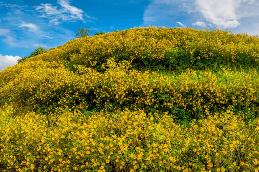 Nếu sức khỏe tốt, bạn sẽ mất chừng 45 phút để đi bộ từ chân núi đến đỉnh. Hoặc có thể chạy xe máy theo con đường mòn dẫn vào các ruộng rau của người dân địa phương lên giữa lòng núi lửa, tầm 15 phút. Ảnh: Bùi Văn Hải