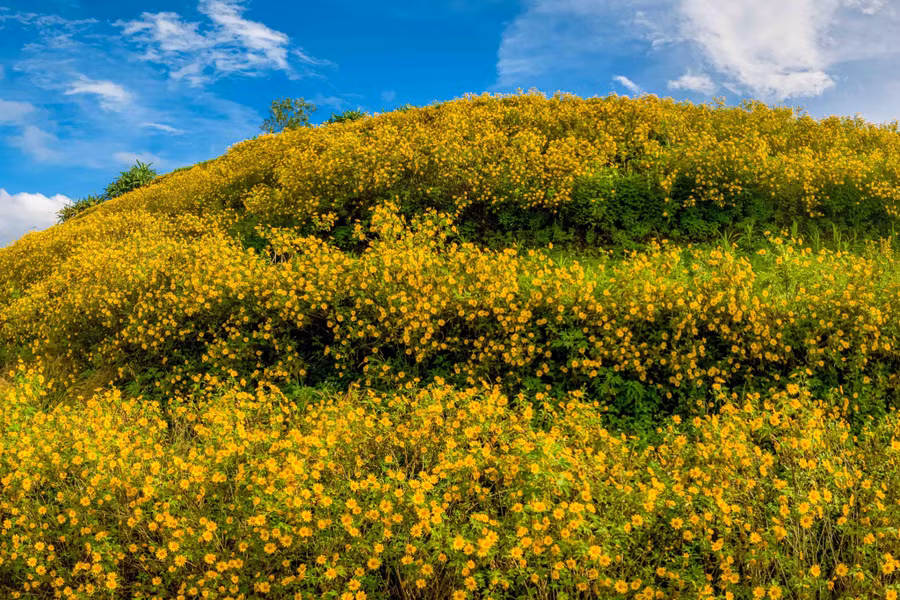 Nếu sức khỏe tốt, bạn sẽ mất chừng 45 phút để đi bộ từ chân núi đến đỉnh. Hoặc có thể chạy xe máy theo con đường mòn dẫn vào các ruộng rau của người dân địa phương lên giữa lòng núi lửa, tầm 15 phút. Ảnh: Bùi Văn Hải