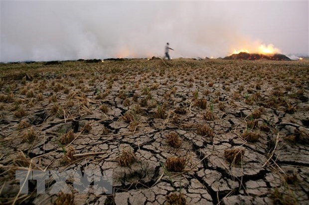 Đất khô nứt nẻ trên cánh đồng ở Qaliubia, Ai Cập. (Ảnh: AFP/TTXVN)