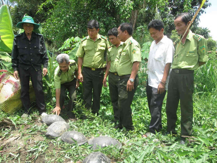 Lực lượng chức năng thu giữ và trả động vật hoang dã về với môi trường tự nhiên Lực lượng chức năng thu giữ và trả động vật hoang dã về với môi trường tự nhiên
