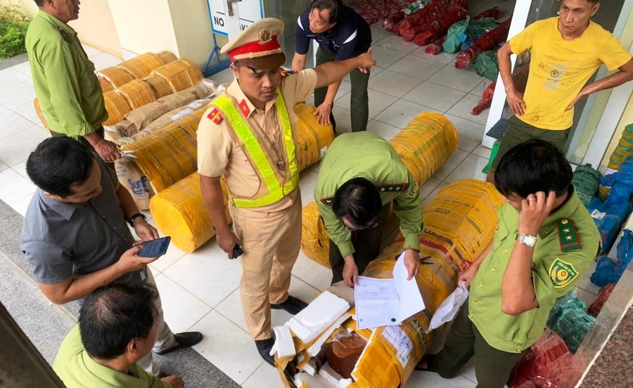 Lực lượng chức năng kiểm tra số lâm sản không rõ nguồn gốc. Ảnh: C.X
