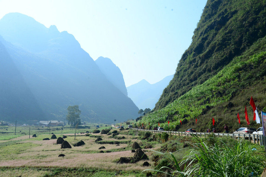 Cuối tháng 11 hằng năm là mùa hoa tam giác mạch, núi đồi khoác lên một lớp áo phớt hồng mong manh