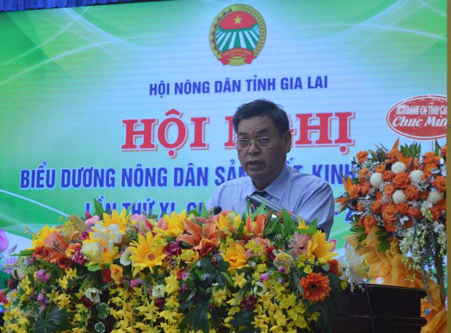 Phó Chủ tịch UBND tỉnh Kpă Thuyên phát biểu tại hội nghị. Ảnh: Anh Huy