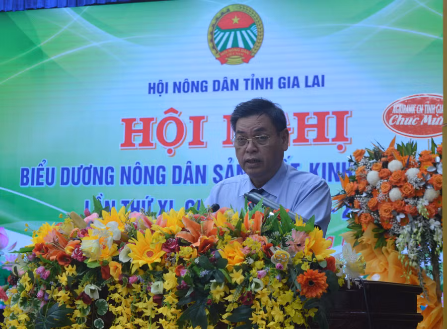 Phó Chủ tịch UBND tỉnh Kpă Thuyên phát biểu tại hội nghị. Ảnh: Anh Huy