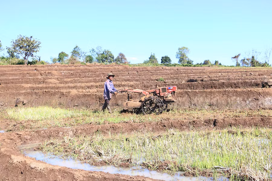  Nông dân huyện Chư Sê cày đất chuẩn bị sản xuất vụ Đông Xuân 2022-2023. Ảnh: Quang Tấn