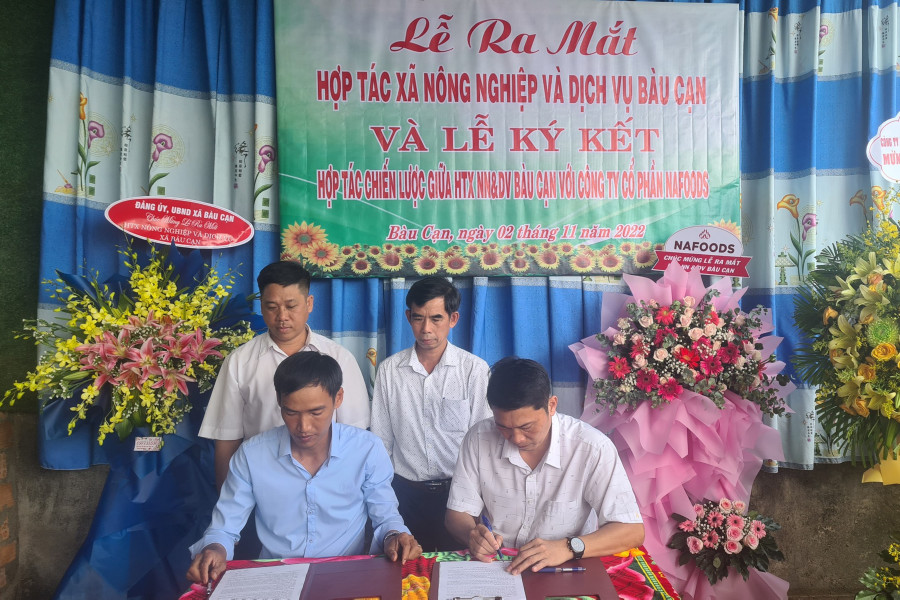 Lãnh đạo Hợp tác xã Nông nghiệp và dịch vụ Bàu Cạn cùng đại diện Công ty cổ phần Nafoods Group ký kết bản ghi nhớ hợp tác. Ảnh: Ngọc Sang