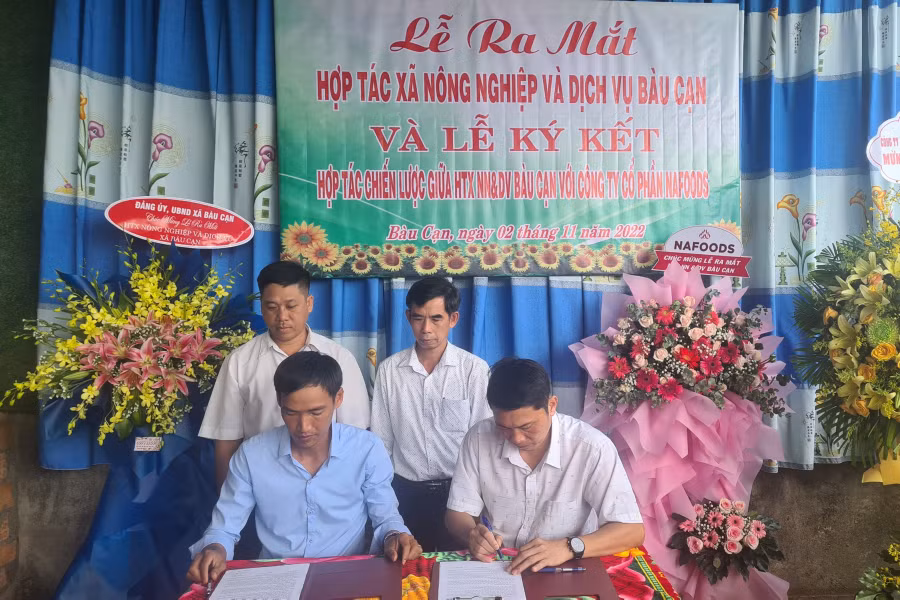 Lãnh đạo Hợp tác xã Nông nghiệp và dịch vụ Bàu Cạn cùng đại diện Công ty cổ phần Nafoods Group ký kết bản ghi nhớ hợp tác. Ảnh: Ngọc Sang