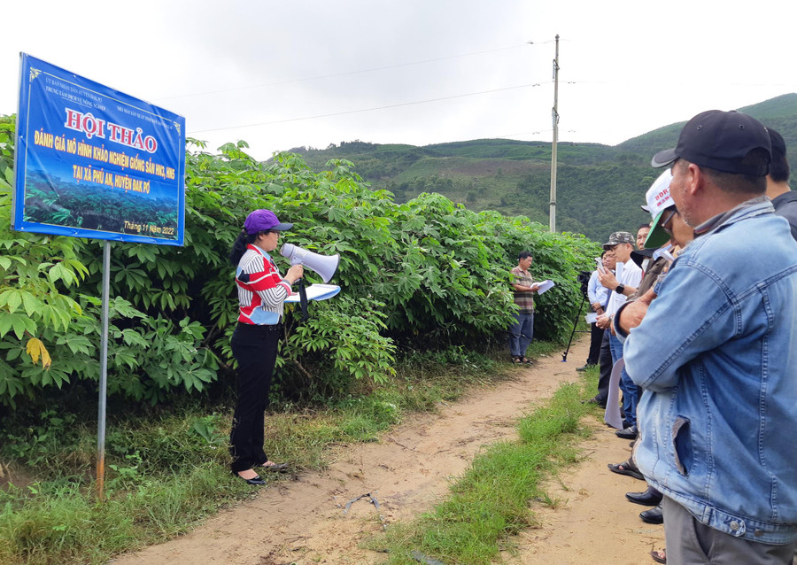 Quang cảnh buổi hội thảo. Ảnh: Tuyết Mai Quang cảnh buổi hội thảo. Ảnh: Tuyết Mai