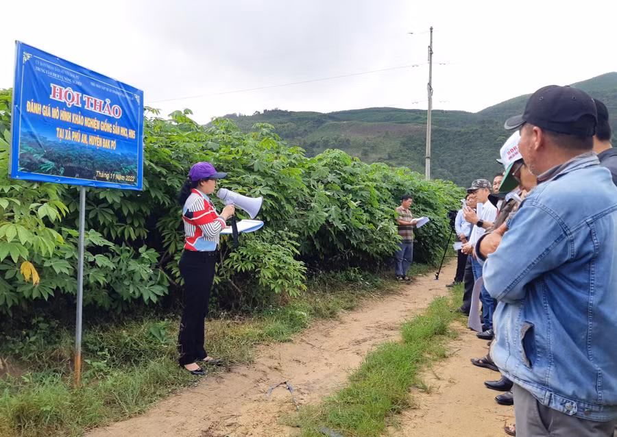 Quang cảnh buổi hội thảo. Ảnh: Tuyết Mai