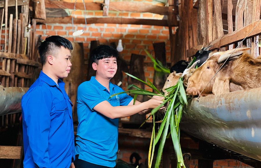 Anh Đỗ Lê Công Thành (bìa phải) chia sẻ kinh nghiệm chăm sóc vật nuôi cho thanh niên. Ảnh: Minh Nhật