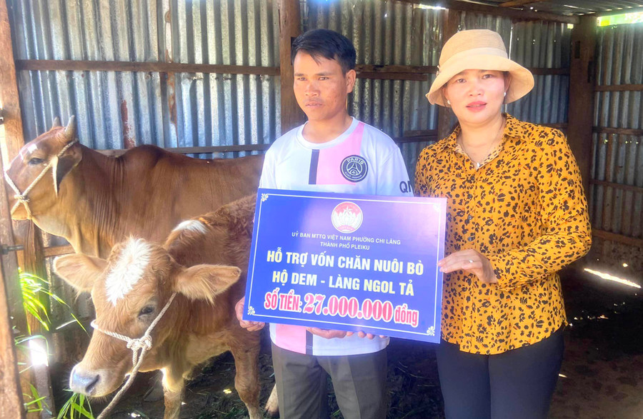 Chủ tịch Ủy ban MTTQ Việt Nam phường Chi Lăng Trần Thị Thanh Tuyền (bìa phải) trao bò giống cho hộ ông Dem (làng Ngol Tảl). Ảnh: Lê Đại