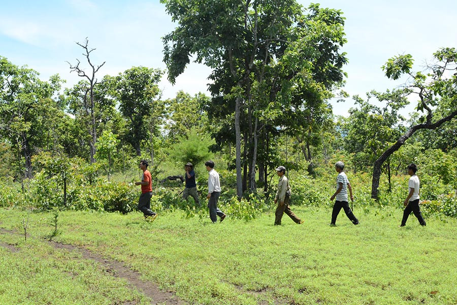 Những cánh rừng do người dân quản lý, bảo vệ luôn giữ được màu xanh tốt. Ảnh: Minh Nguyễn Những cánh rừng do người dân quản lý, bảo vệ luôn giữ được màu xanh tốt. Ảnh: M.N