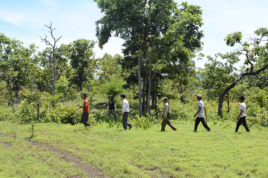 Những cánh rừng do người dân quản lý, bảo vệ luôn giữ được màu xanh tốt. Ảnh: M.N