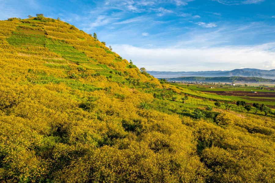 R’Chai là ngọn núi lửa ngủ quên hàng ngàn năm, với tàn tích dung nham để lại đất đỏ bazan màu mỡ. Đây là khu vực trồng hoa màu lớn nhất huyện Đức Trọng, tỉnh Lâm Đồng. Ảnh: Bùi Văn Hải