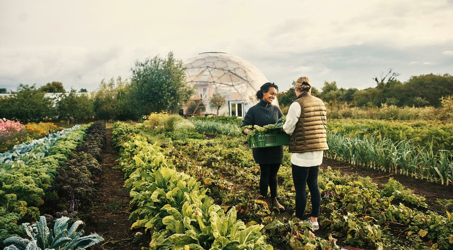 Phần lớn du khách hướng đến những chuyến đi “ngoài vùng phủ sóng” để tạm xa cuộc sống thực tế. Ảnh: BOOKING.COM