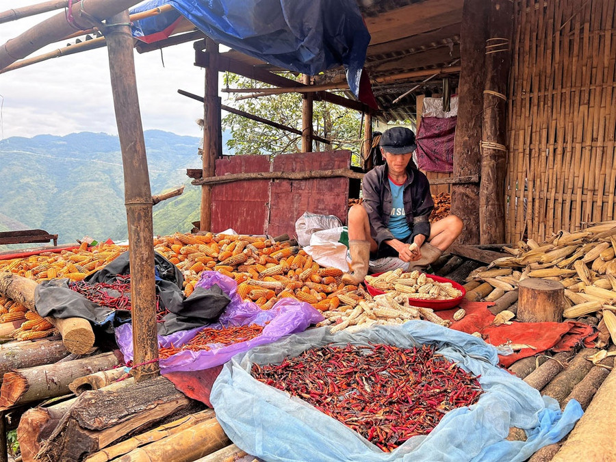Hàng rào dây thép gai trên đường núi, bên Trung Quốc.