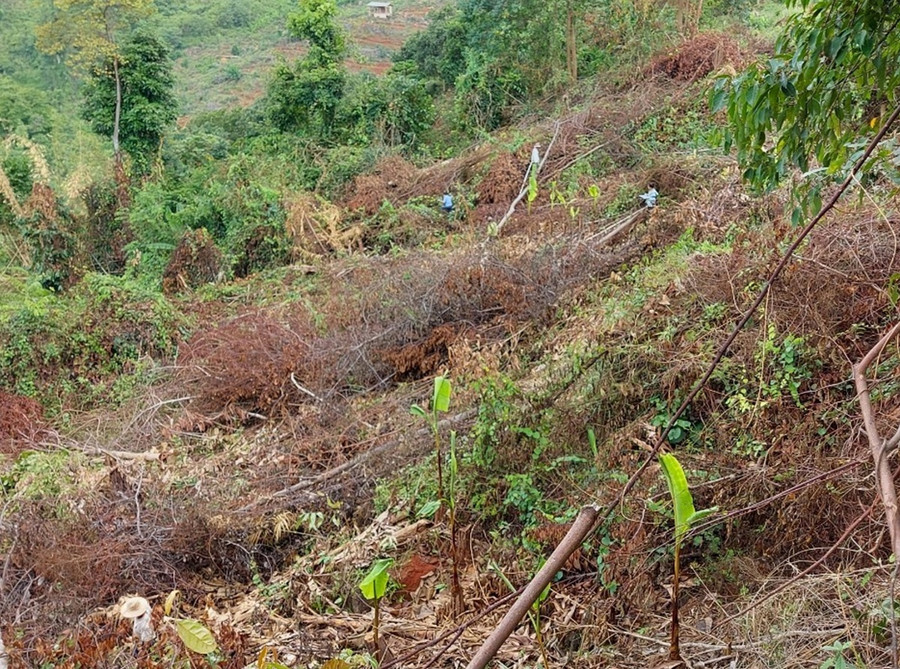 Việc rà soát điều chỉnh phải đảm bảo công bằng, công khai, minh bạch, phù hợp với thực tế, tuyệt đối không được hợp thức hoá các sai phạm, vi phạm. Ảnh: Gia Bình