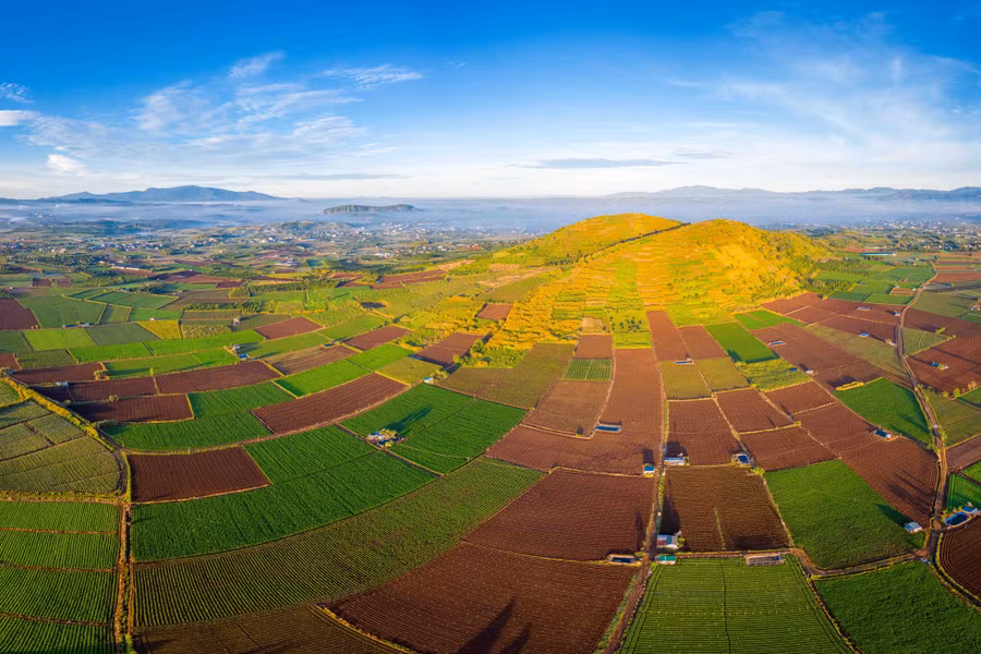 Nhìn từ trên cao, ngọn núi phủ một màu vàng rực rỡ, dưới chân núi là những ô ruộng xanh mướt xen lẫn với màu đất đỏ bazan đẹp mắt. Mùa này, hoa dã quỳ bung nở đã thu hút rất nhiều du khách gần xa tìm đến check-in. Ảnh: Bùi Văn Hải