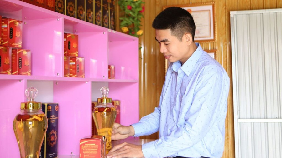 Nhờ cấy nuôi đông trùng hạ thảo giúp anh Luân có doanh thu hơn 2 tỉ đồng mỗi năm. Ảnh: Phạm Đức