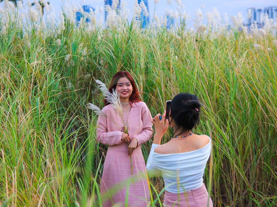 Ai đến đây, trên tay đều có một bó hoa cỏ lau trắng khi bắt trọn khoảnh khắc quyến rũ của thiên nhiên. Ảnh: Hữu Tú