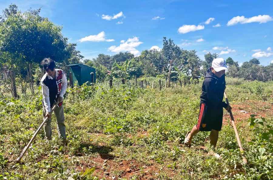 Puih Phú và Puih Thái đổi công làm rẫy cho nhau. Ảnh: Hoành Sơn