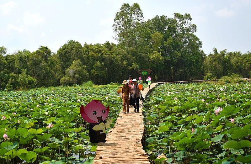 Du khách tham quan cánh đồng sen tại Khu di tích quốc gia đặc biệt Gò Tháp, huyện Tháp Mười. Ảnh: Hữu Nghĩa