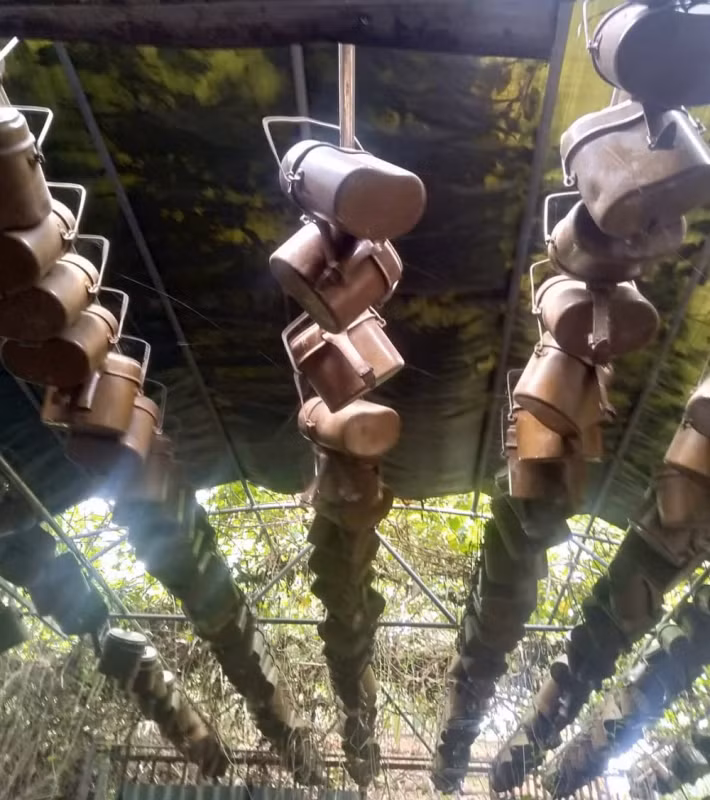 “Giàn mướp” ăng gô bộ đội của ông Đào Hà.