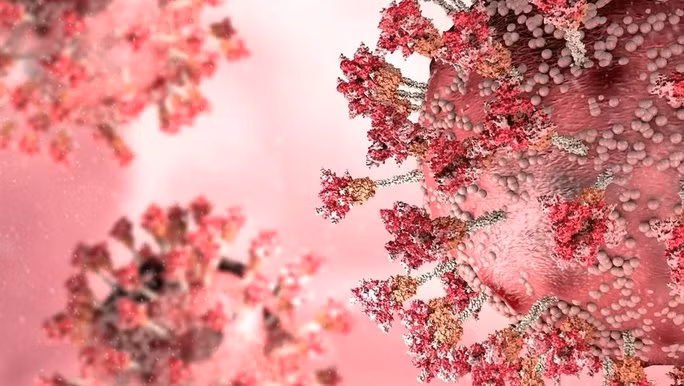 Virus SARS-CoV-2. Ảnh: NEWS-MEDICAL