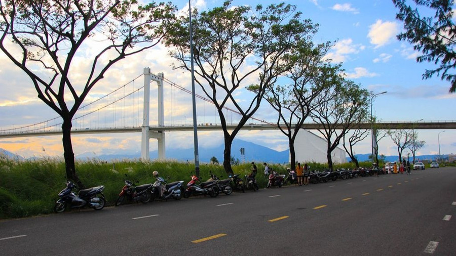 Nhiều người xếp xe cộ thành hàng dài ven đường Lê Văn Duyệt (TP.Đà Nẵng) để đến nơi có thảm cỏ lau. Ảnh: Hữu Tú