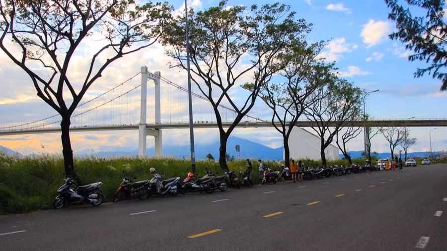 Nhiều người xếp xe cộ thành hàng dài ven đường Lê Văn Duyệt (TP.Đà Nẵng) để đến nơi có thảm cỏ lau. Ảnh: Hữu Tú