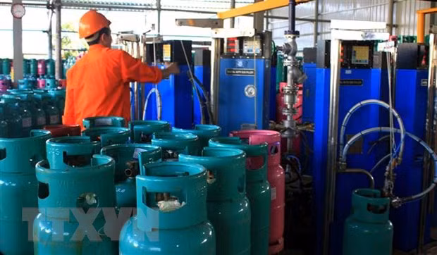 (Ảnh: Đỗ Phương Anh/TTXVN)