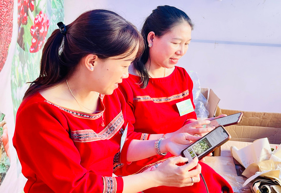 Thành viên Hợp tác xã Nông nghiệp-thương mại và dịch vụ Tơ Tung (huyện Kbang) tìm hiểu cách thức đưa sản phẩm lên sàn thương mại điện tử. Ảnh: Vũ Thảo Thành viên Hợp tác xã Nông nghiệp-thương mại và dịch vụ Tơ Tung (huyện Kbang) tìm hiểu cách thức đưa sản phẩm lên sàn thương mại điện tử. Ảnh: Vũ Thảo