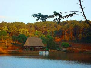 Ảnh minh họa. Ảnh minh họa.